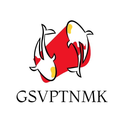 Gsvptnmk online store